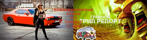 соль курить ск Шали